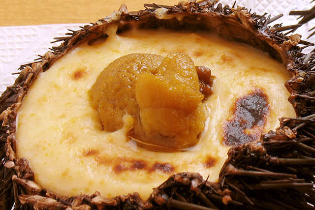 Sea urchin gratin