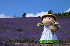 Hokuseiyama Lavender Garden